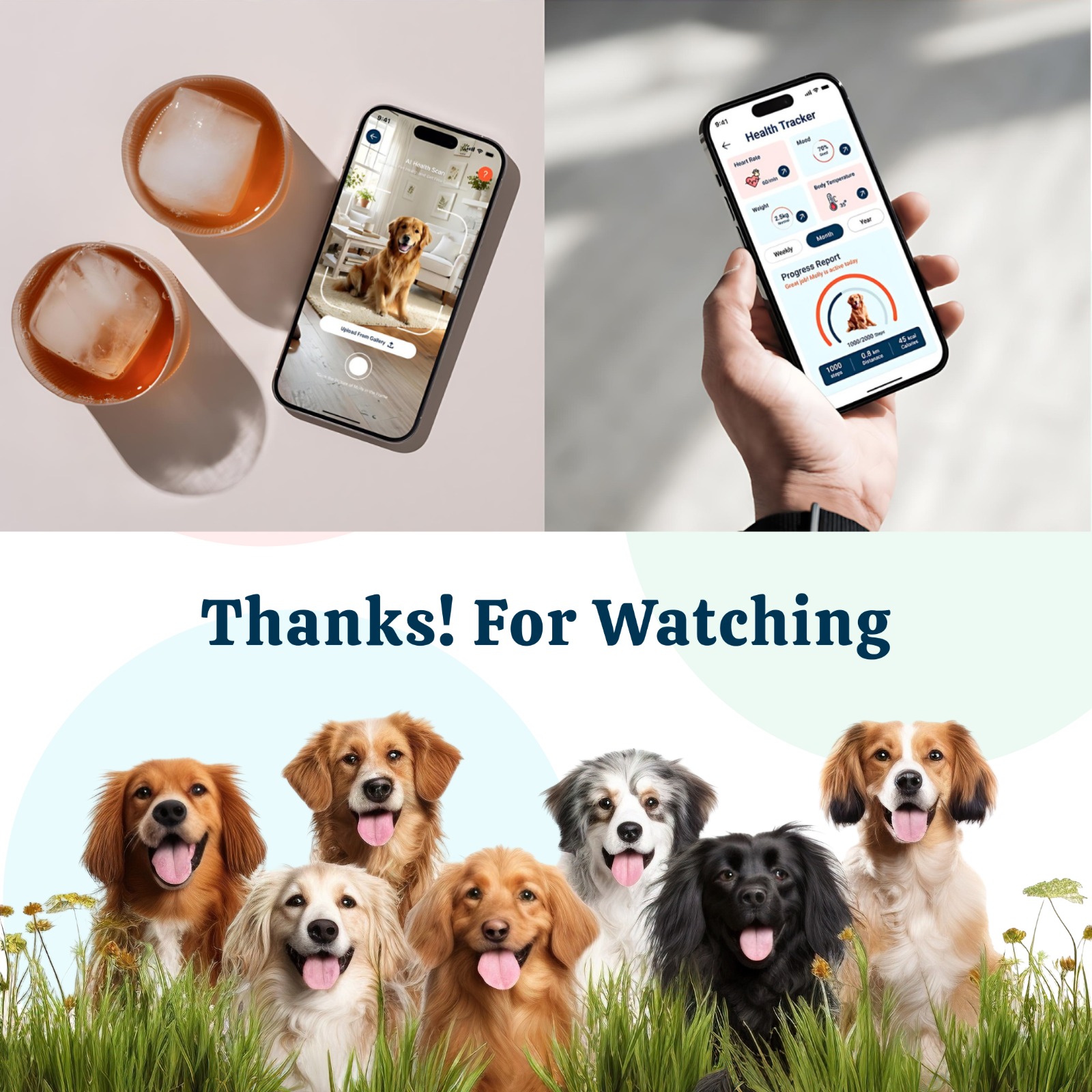 Social Media Analytics